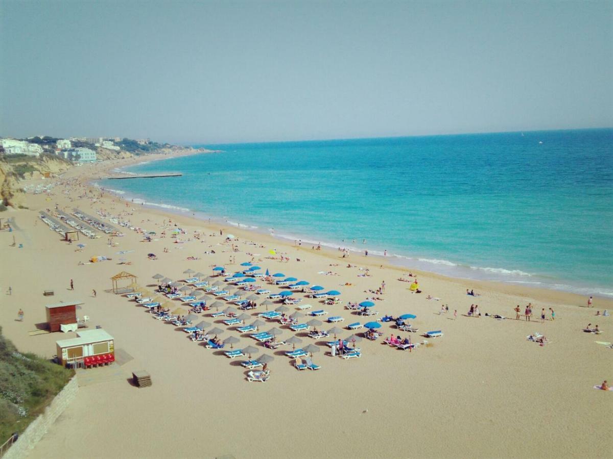 Little Wonder Albufeira
